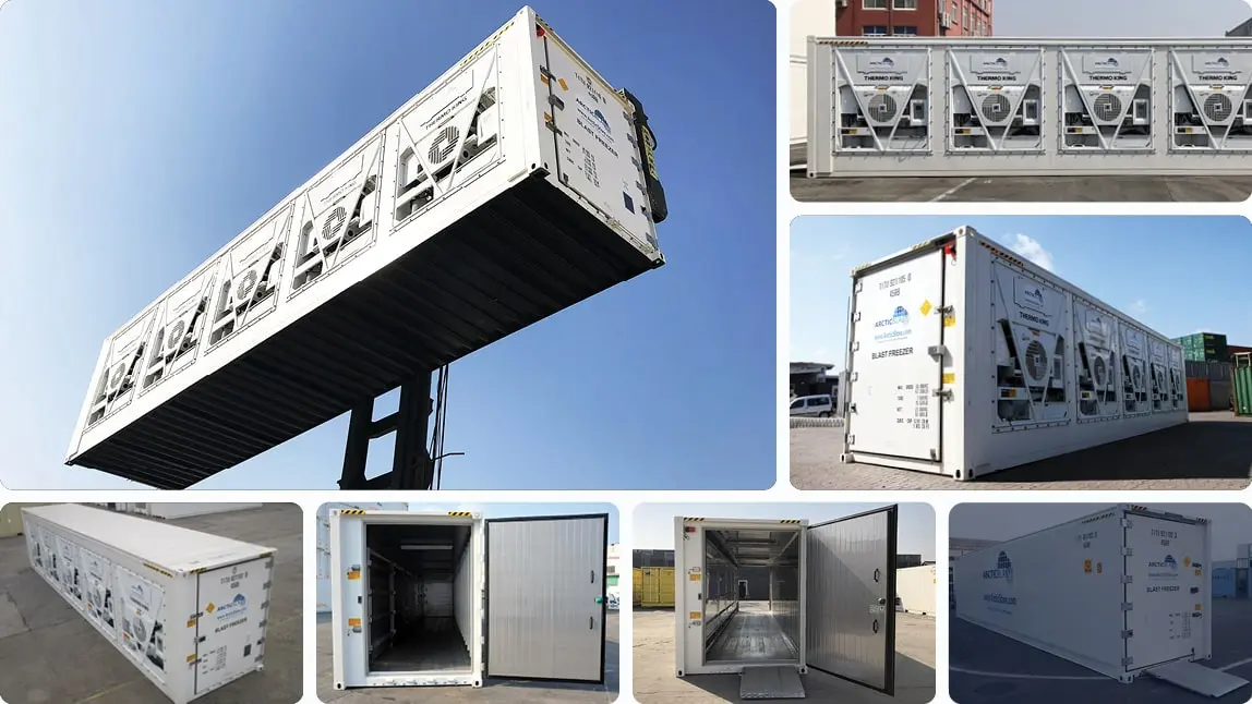 40ft ArcticBlast Refrigerated Container for Hire - Rapid Chilling Storage