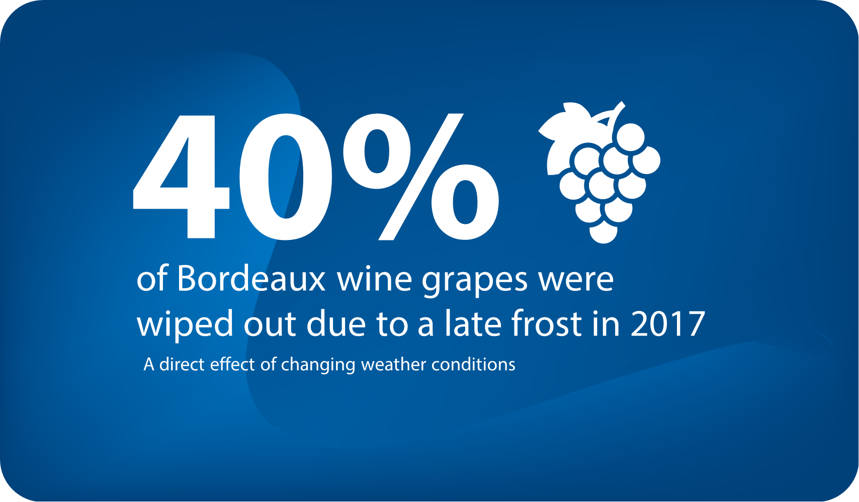 40 percent_wine-page